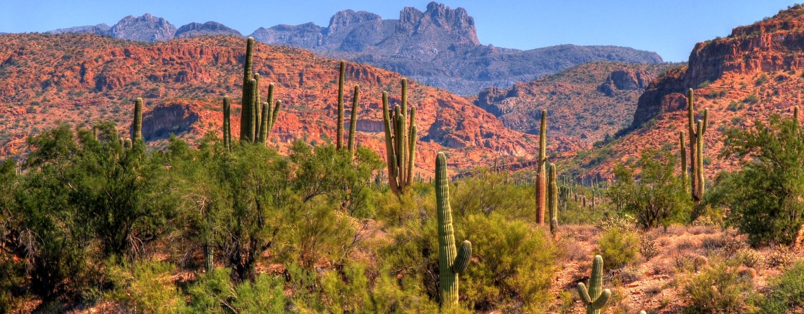 Desert